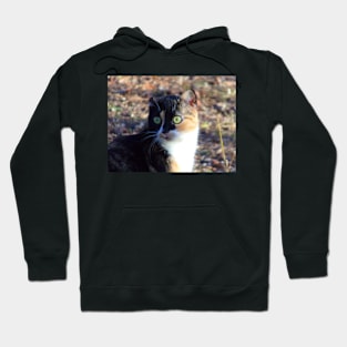 One Eared Cat Hoodie